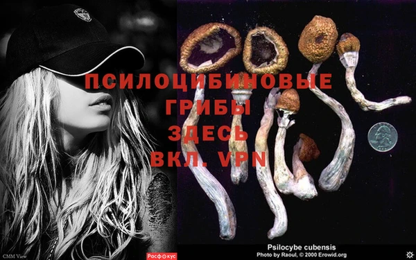 ALPHA PVP Алексеевка