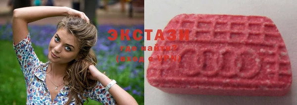 хмурый Абаза