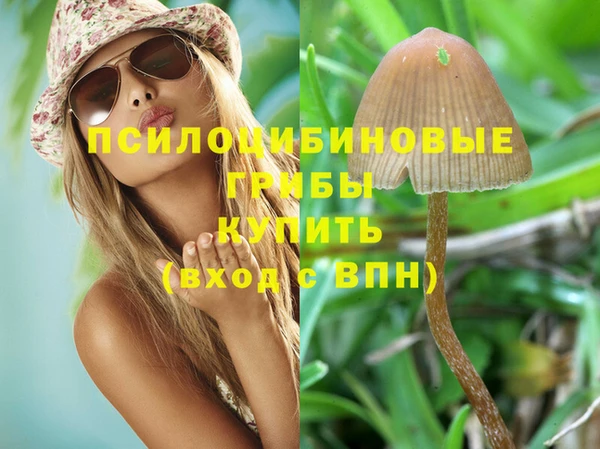 гидра Абдулино