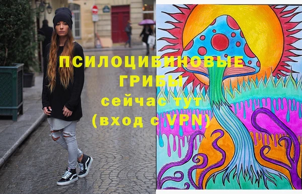 ALPHA PVP Алзамай