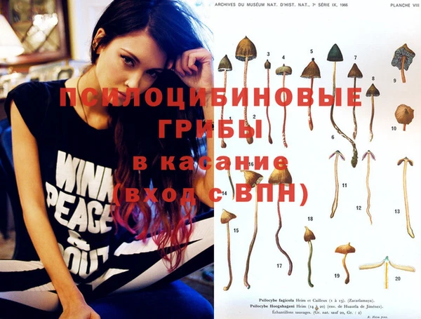 герыч Магадан