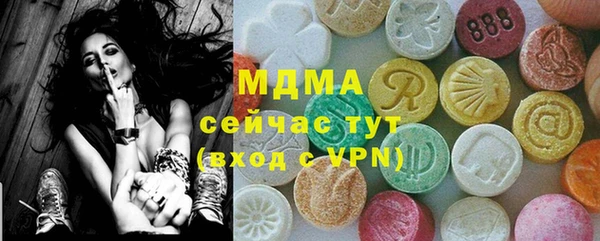 хмурый Абаза