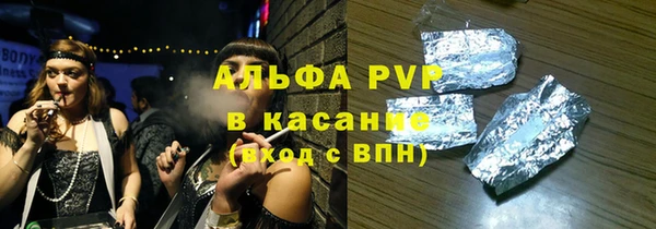 хмурый Абаза