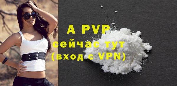 хмурый Абаза